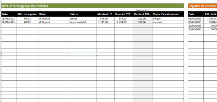 Livre de recette micro-entreprise avec TVA modèle Excel