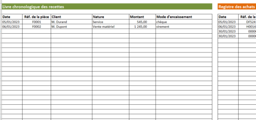Livre de recette micro-entreprise modèle Excel